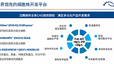 加速双抗研发 | 汉腾生物沈潇博士：多特异性抗体工艺开发中的考量