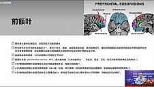 西南儿童医院院长徐磊任大会主席出席第四届孤独症跨学科公益论坛