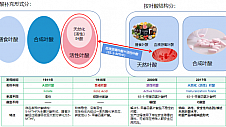 天然化（活性）叶酸护航妇幼健康 金康和信实力铸就品牌力量