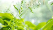 植物医生坚守品牌理念，高山护肤与品牌公益同行