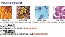 仁度生物“追踪”女性健康第一“杀手”的底气：10亿人潜在市场+领先的技术