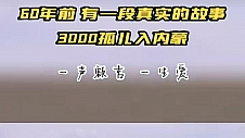 千户牧民增收三成 中国最好的羊肉三分之一通过一家电商走向消费者