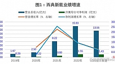 最大客户贡献七成多营收，低价竞争牺牲毛利率，募资扩产面临产能过剩，西典新能难题待解