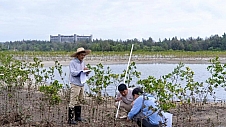 滨海生态再添新绿  各方聚力共护生物多样性   马爹利在琼粤两地同步启动红树林保护项目第三阶段工作