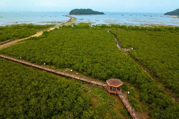 滨海生态再添新绿  各方聚力共护生物多样性   马爹利在琼粤两地同步启动红树林保护项目第三阶段工作