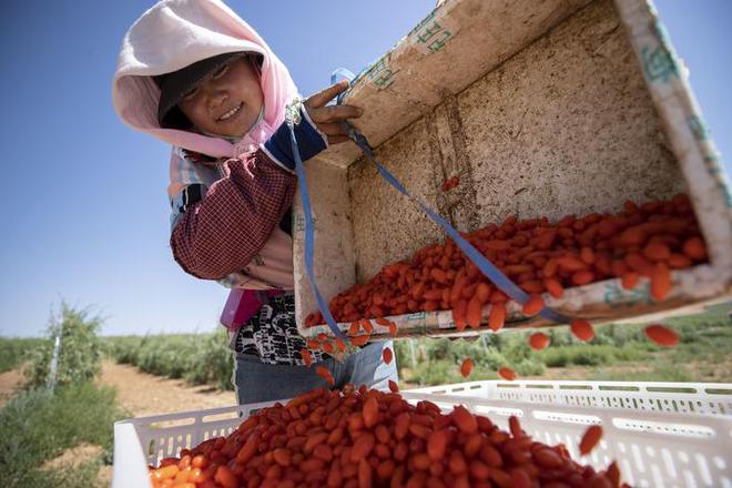 药材好，药才好——求解道地药材何以地道